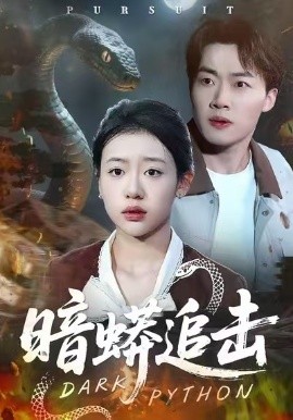 暗蟒追击第01集