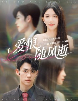 爱恨随风逝第55集