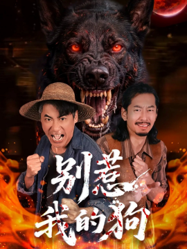 别惹我的狗第33集