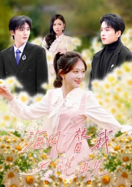 海风替我说再见第27集