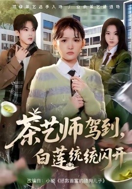 茶艺师驾到白莲统统闪开第01集