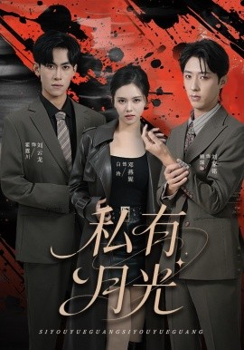 私有月光第24集