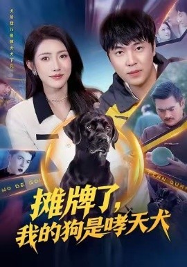 摊牌了，我的狗是哮天犬第12集