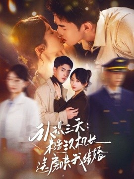 认识三天糙汉机长送房哄我结婚第04集