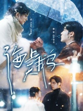 海上天鹅第41集