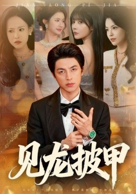 见龙披甲第34集