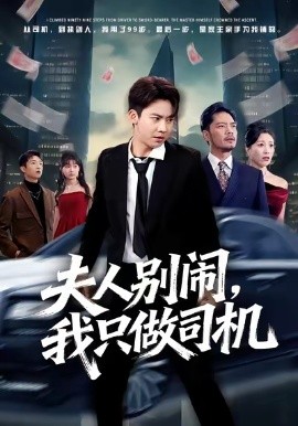 夫人别闹我只做司机第09集