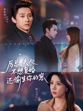 厉总，夫人不想复婚还偷生你的崽第61集