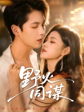 野火同谋第51集