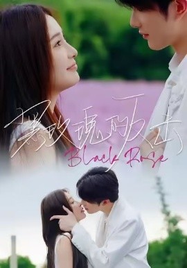 黑玫瑰的反击第28集