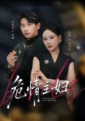 危情主妇第01集