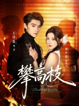 攀高枝第01集