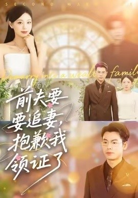 前夫要追妻，抱歉我领证了第61集