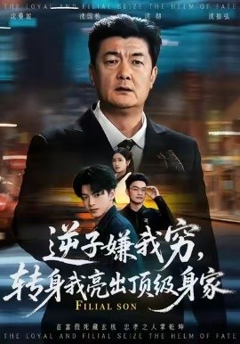 逆子嫌我穷，转身我亮出顶级身家第29集