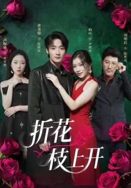 折花枝上开第13集