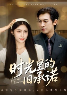 时光里的旧承诺 重逢是场盛大告白第40集