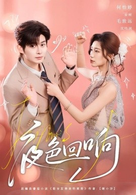 夜色回响第15集