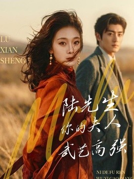 陆先生，你的夫人武艺高强(全集)