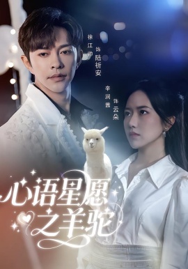 心语星愿之羊驼第02集