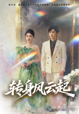 转身风云起第20集
