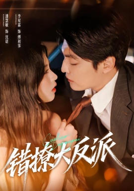 错撩大反派第01集