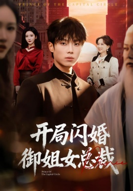 开局闪婚御姐女总裁第49集