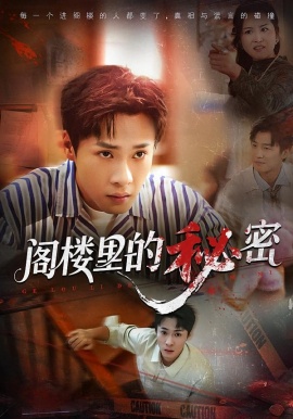 阁楼里的秘密第03集