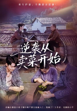 逆袭从卖菜开始第02集