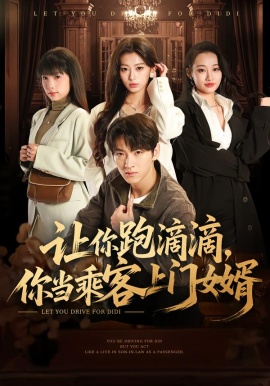 让你跑滴滴，你当乘客上门女婿第48集