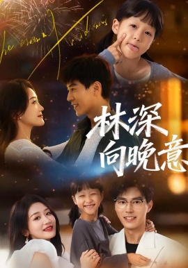 林深向晚意第20集