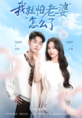 我就怕老婆怎么了第10集