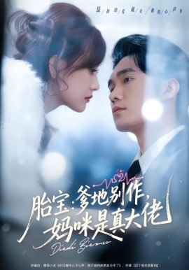 胎宝：爹地别作，妈咪是真大佬第17集