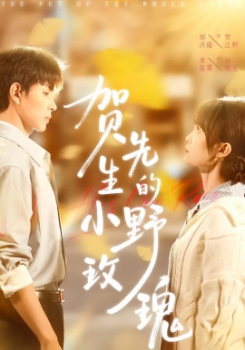 贺先生的小野玫瑰第01集