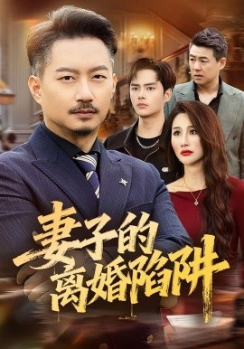 妻子的离婚陷阱第01集