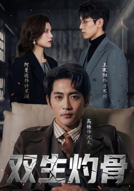 双生灼骨第13集