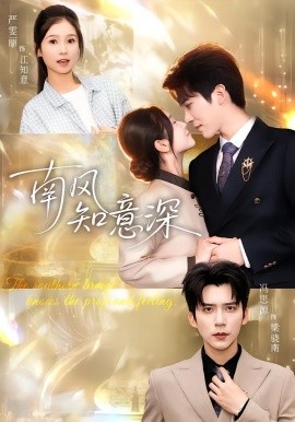 南风知意深第11集