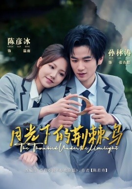 月光下的荆棘鸟第01集