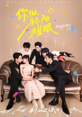 你似骄阳耀眼第12集