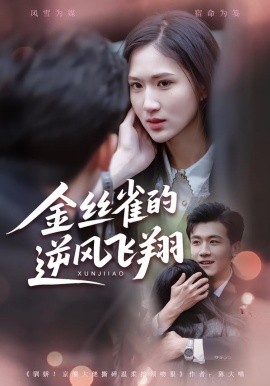 金丝雀的逆风飞翔第01集