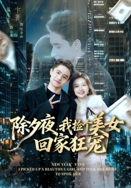 除夕夜，我捡个美女回家狂宠第01集