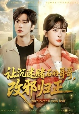 让沉迷赌石的哥哥，改邪归正第09集