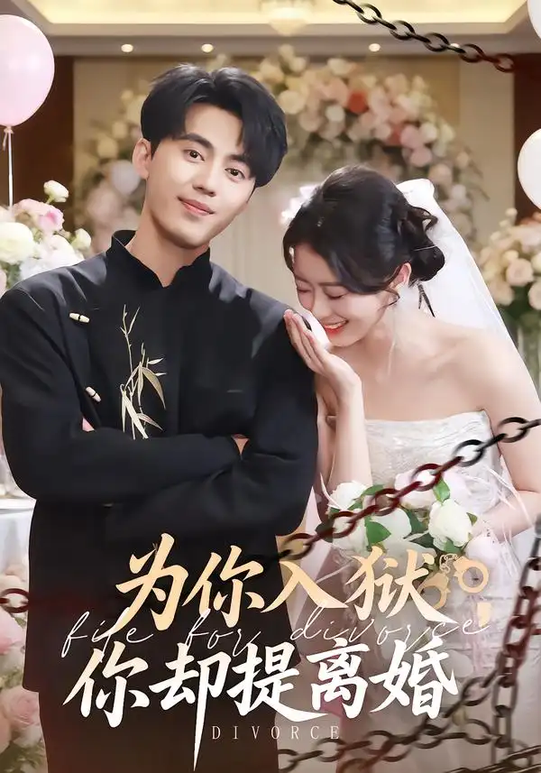 为你入狱，你却提离婚第01集