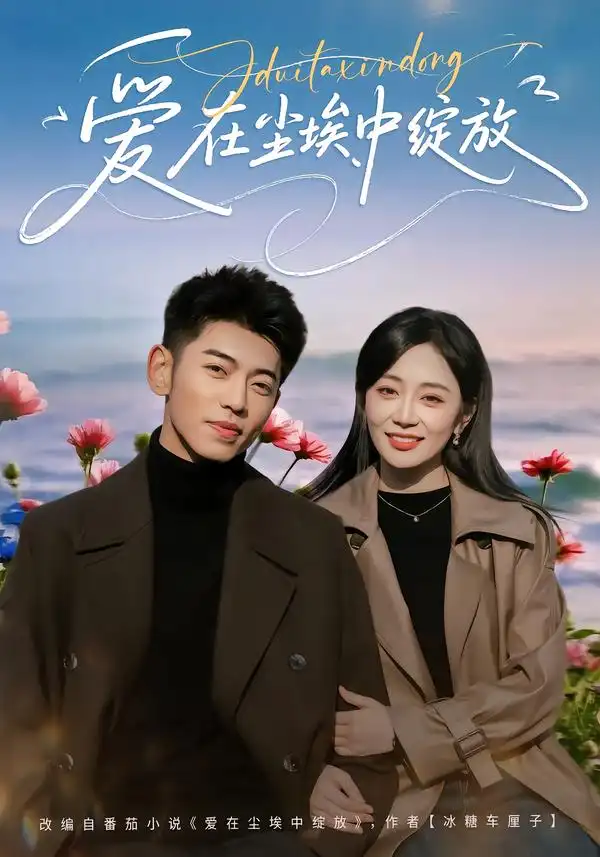 爱在尘埃中绽放第01集