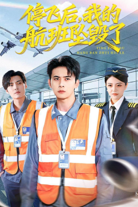 停飞后，我的航班坠毁了(全集)
